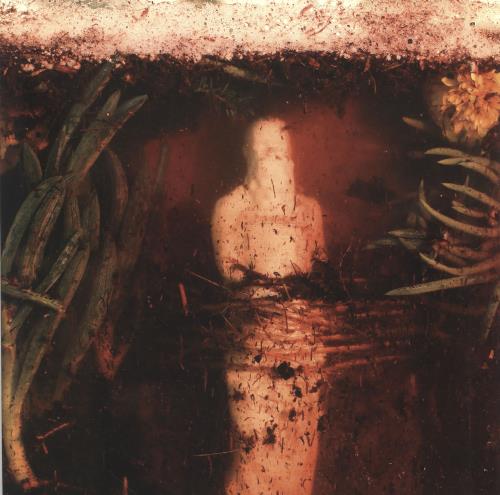 Wreck And Reference Indifferent Rivers Romance End vinyl LP album (LP record) US 1XELPIN749351