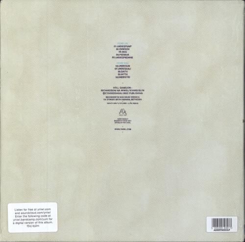 Y Niwl Y Niwl vinyl LP album (LP record) UK 27ALPYN811620