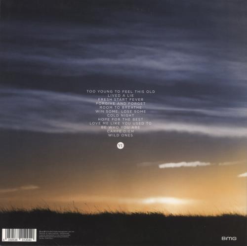 You Me At Six Cavalier Youth - 180gm vinyl LP album (LP record) UK YMILPCA863531