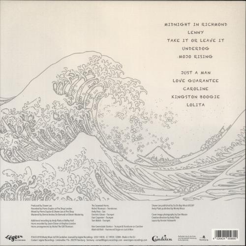 Young Gun Silver Fox AM Waves vinyl LP album (LP record) UK -Q8LPAM879995