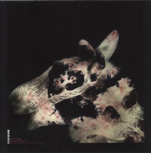 Yuri Honing Avalon Songs vinyl LP album (LP record) Dutch YU0LPAV858191