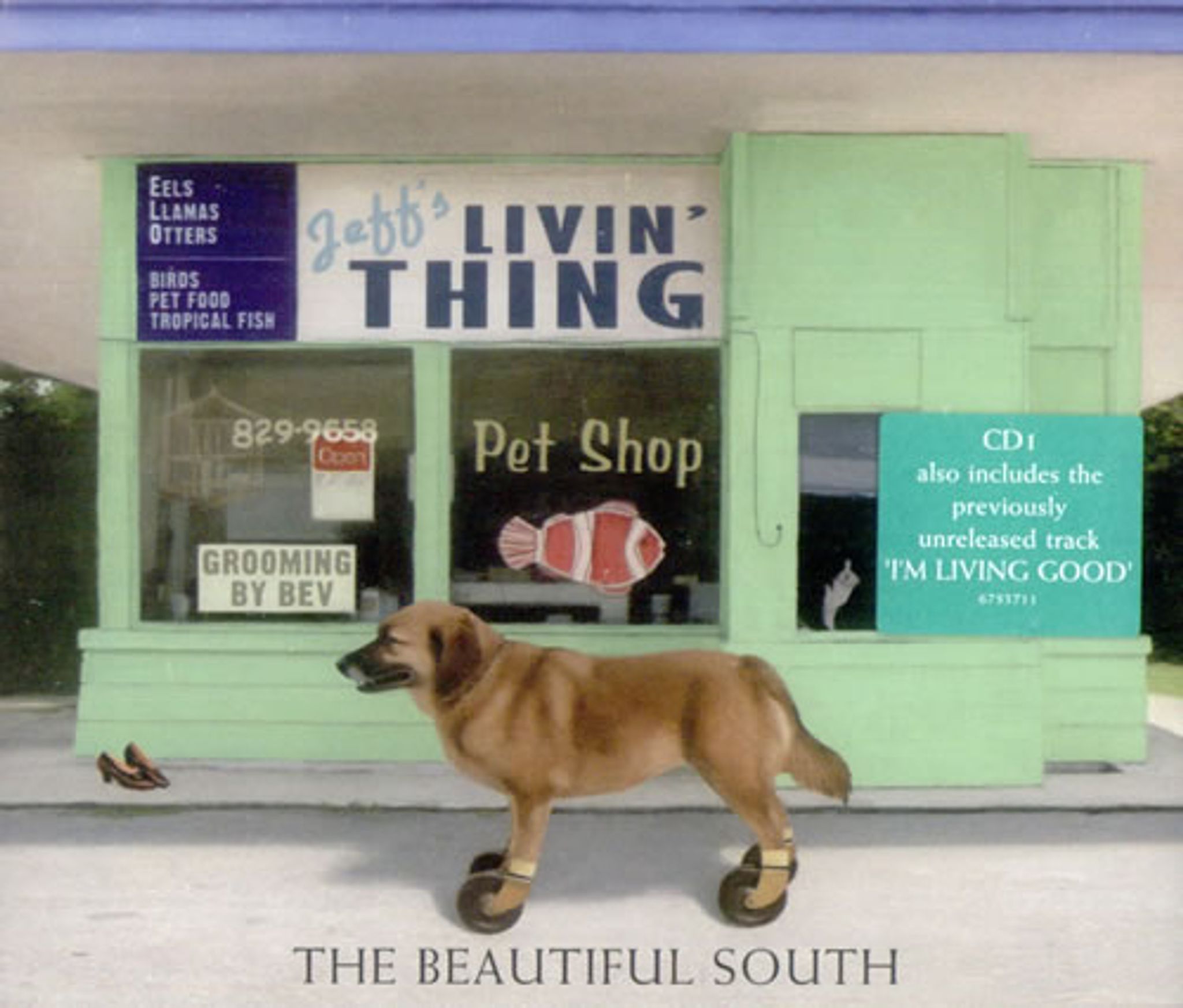 The Beautiful South Rare Vinyl Records, LPs, vinyl albums, 7
