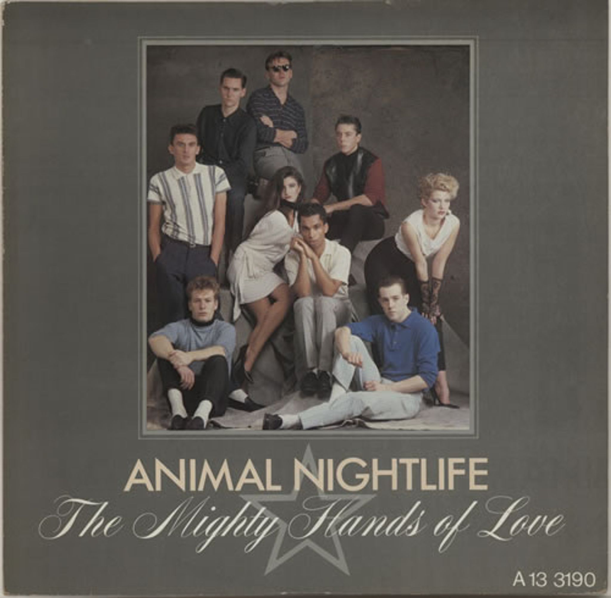 Animal Nightlife LP＋Style Council 12 Animal Nightlife – Mr Solitaire – Vinyl (12