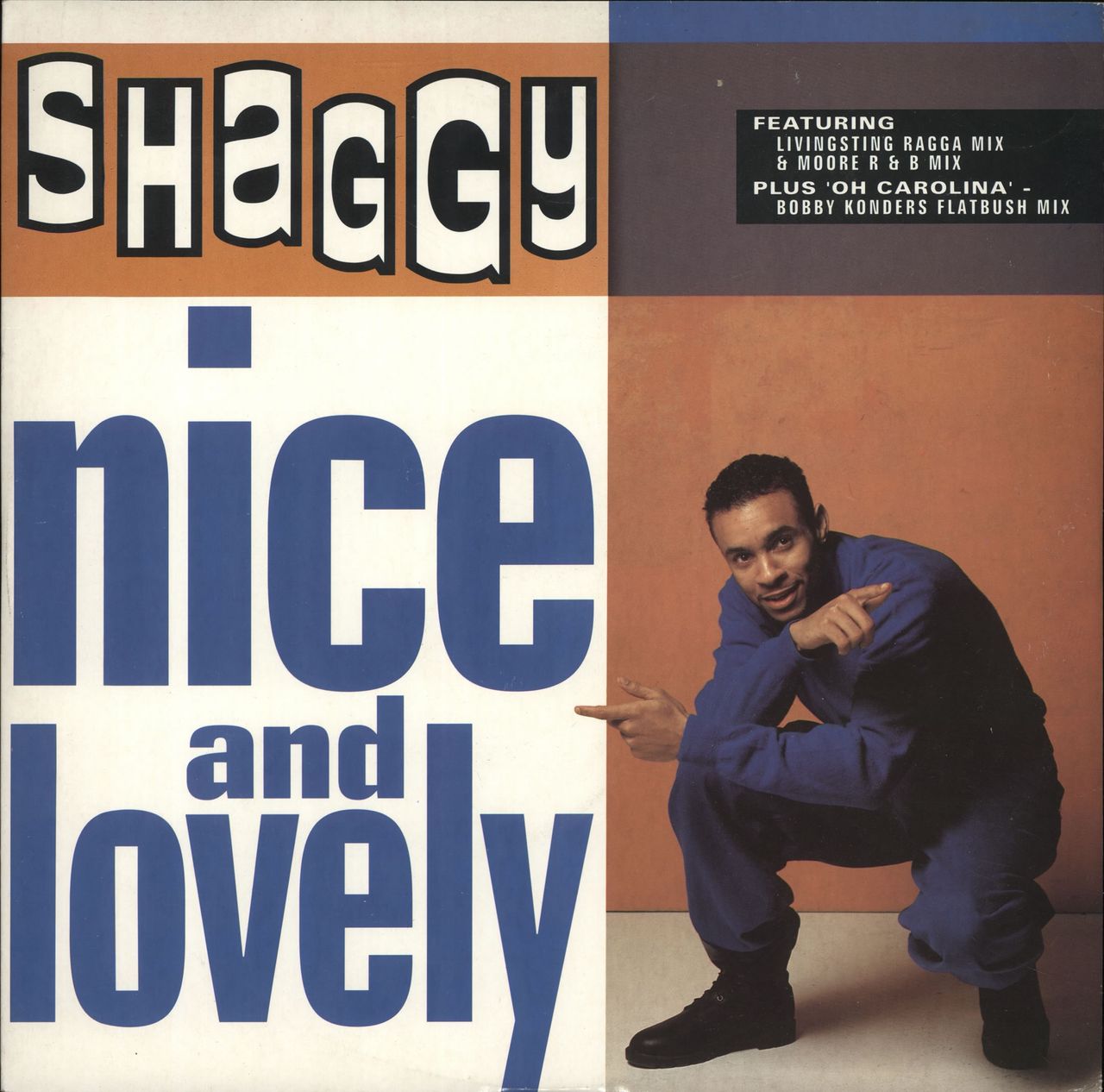 shaggy　LP　含めreggae LP 6枚まとめ売り ジャマイカLP Derrick Harriott Reggae Disco Rockers LP376