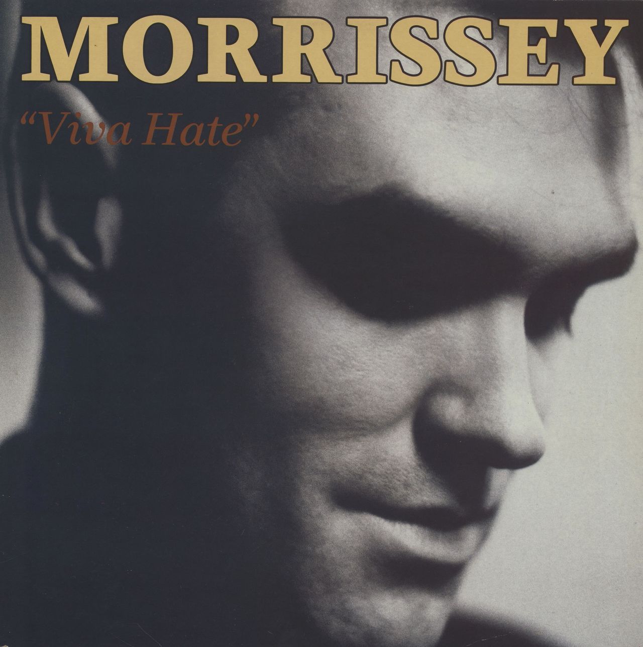 Morrissey Rare Vinyl Records, LPs, vinyl albums, 7
