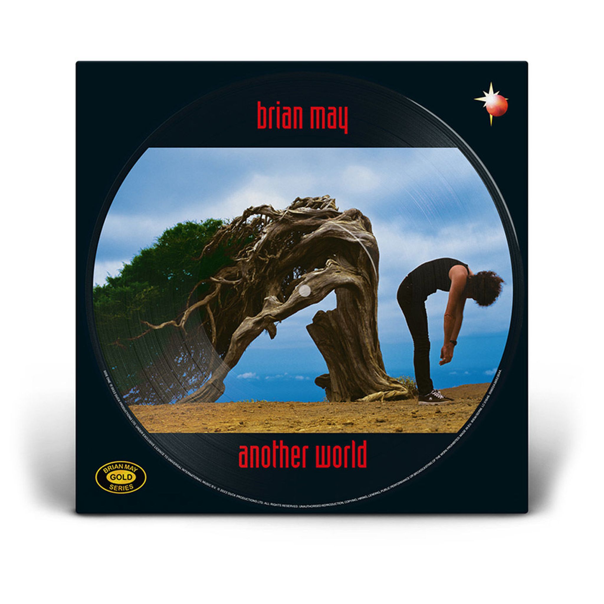 Brian May Rare Vinyl Records, LPs, vinyl albums, 7