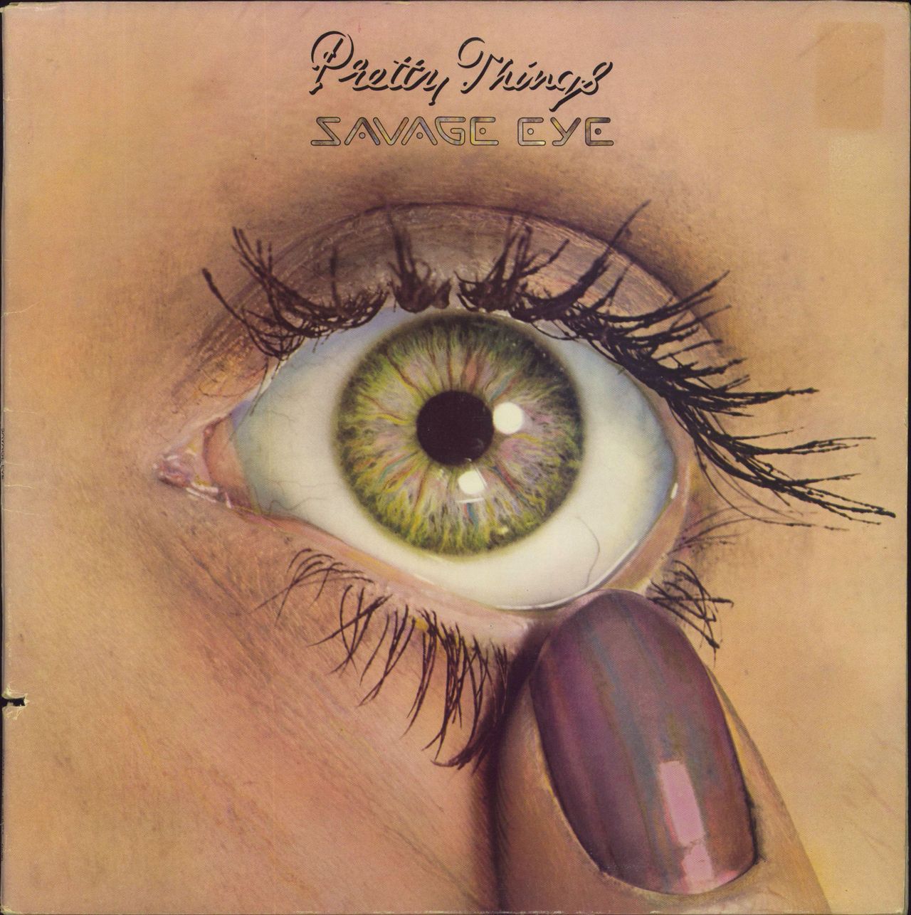 The pretty things レコード THE PRETTY THINGS & LIVE AT THE 100 CLUB (60TH ANNIVERSARY