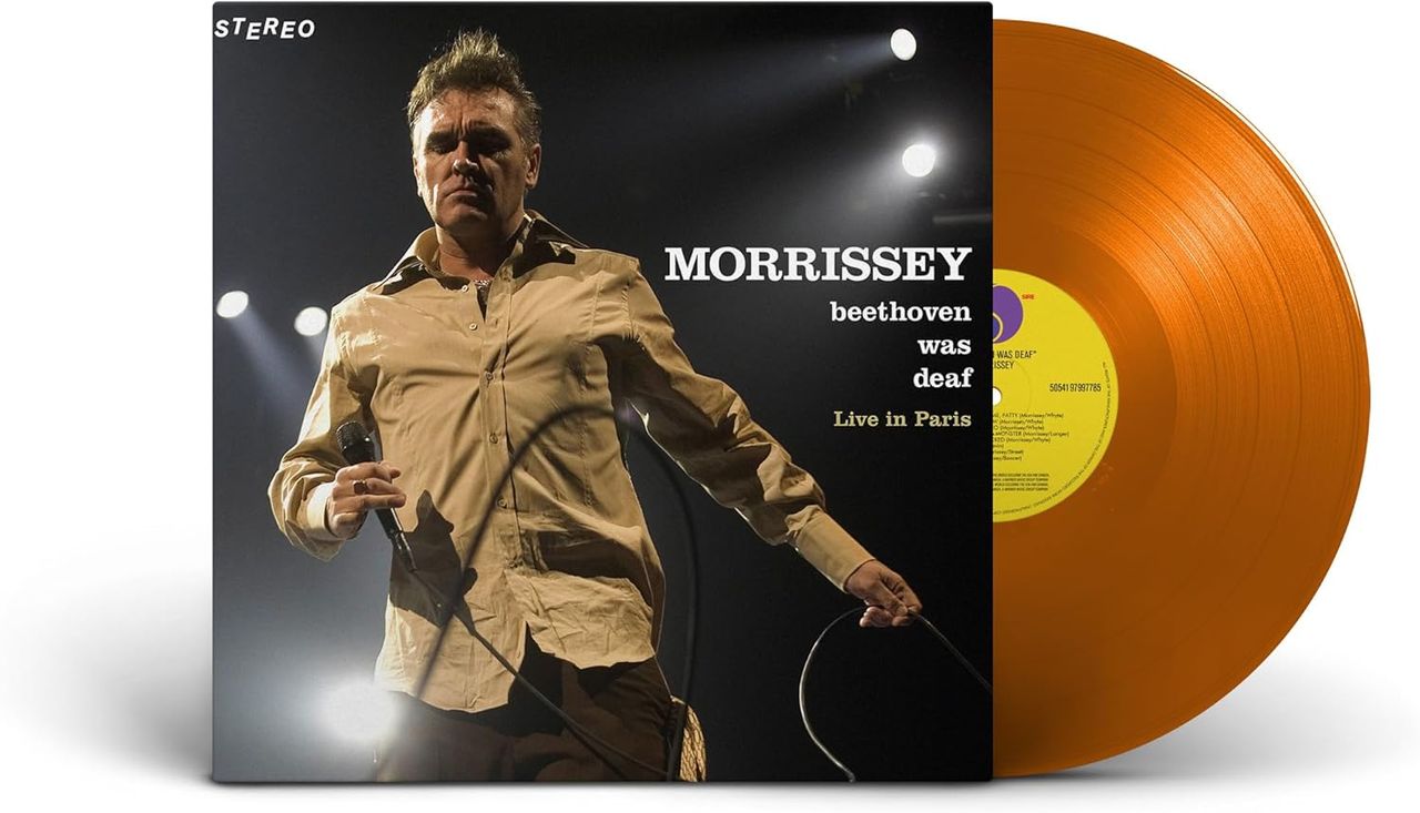 Morrissey Rare Vinyl Records, LPs, vinyl albums, 7