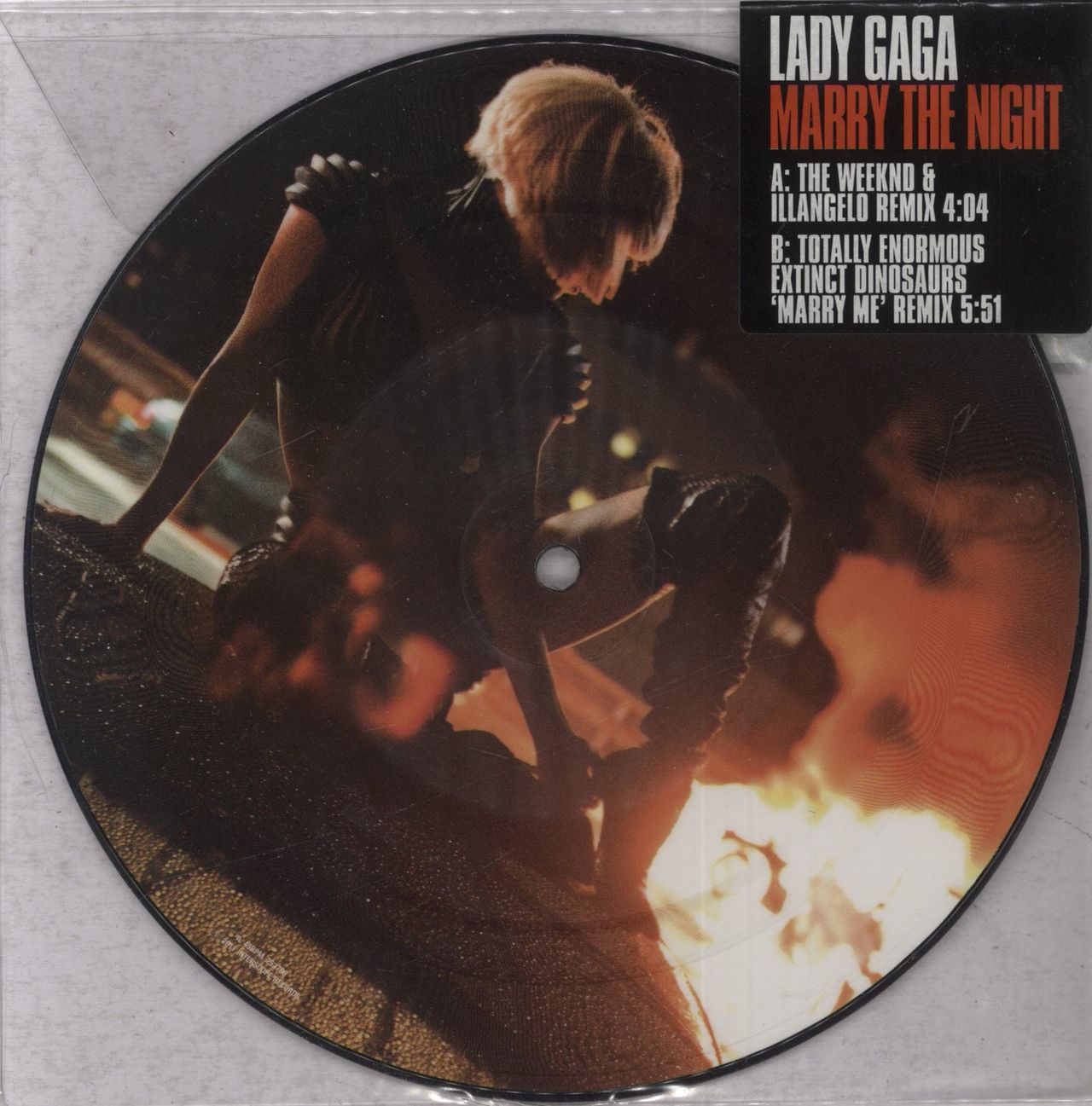 Lady Gaga Vinyl Records for sale - eBay