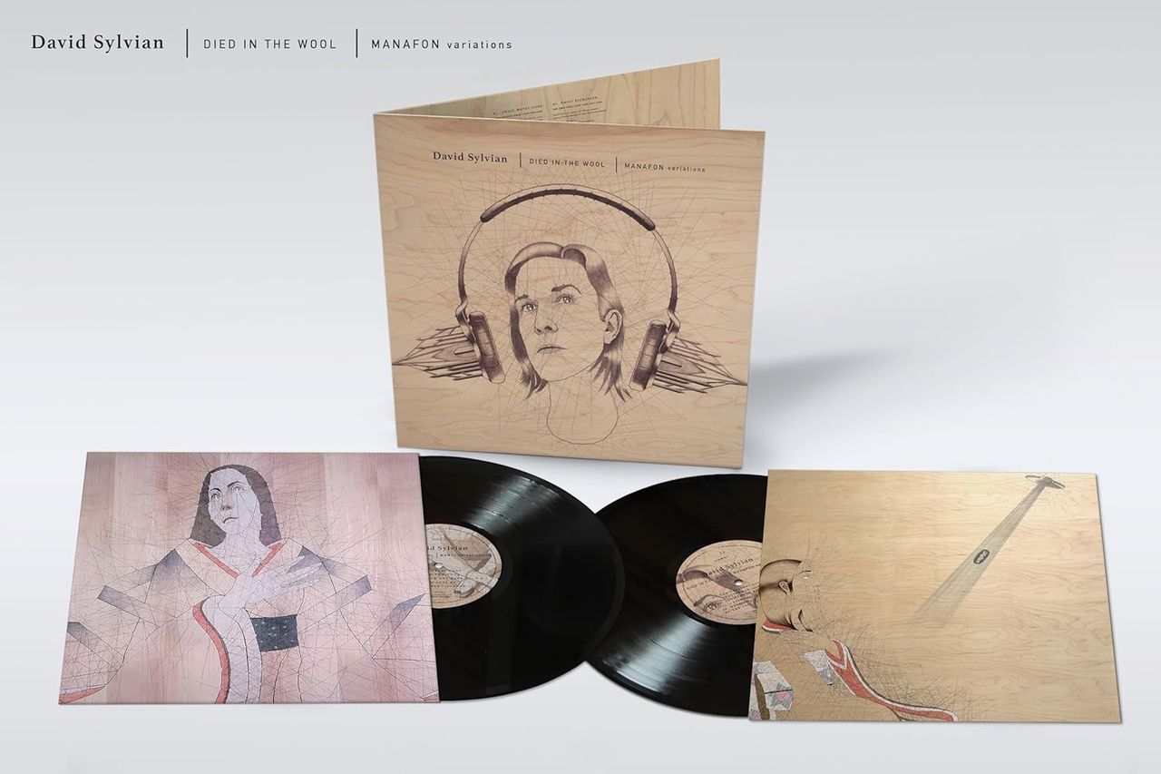 David Sylvian Rare Vinyl Records, LPs, vinyl albums, 7
