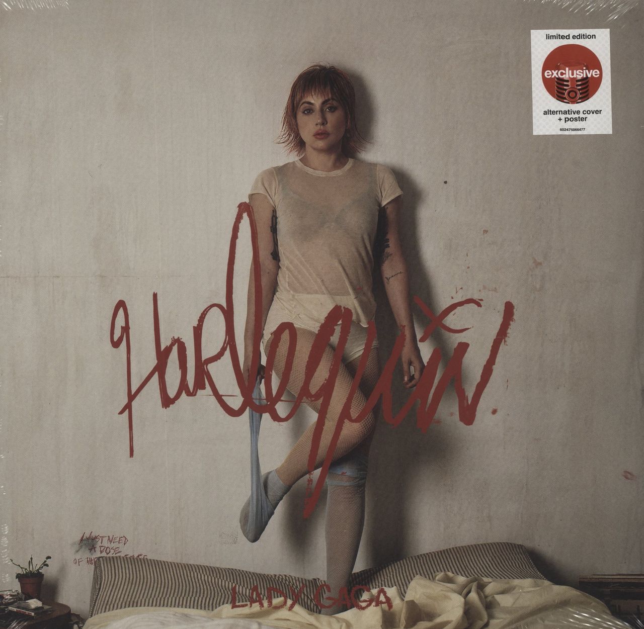 ☆ Lady Gaga ピクチャー盤 レコード LP
