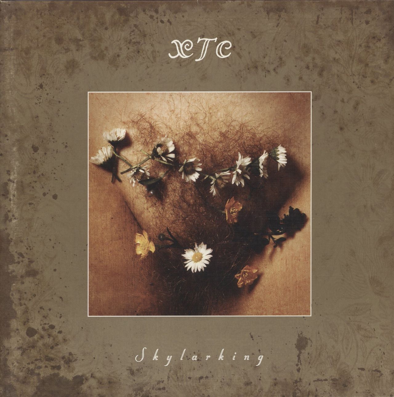 お値下げしました！ XTC 12CD ALBUMS →６５００円 Stream XTC by SHVDZ | Listen online for free on SoundCloud