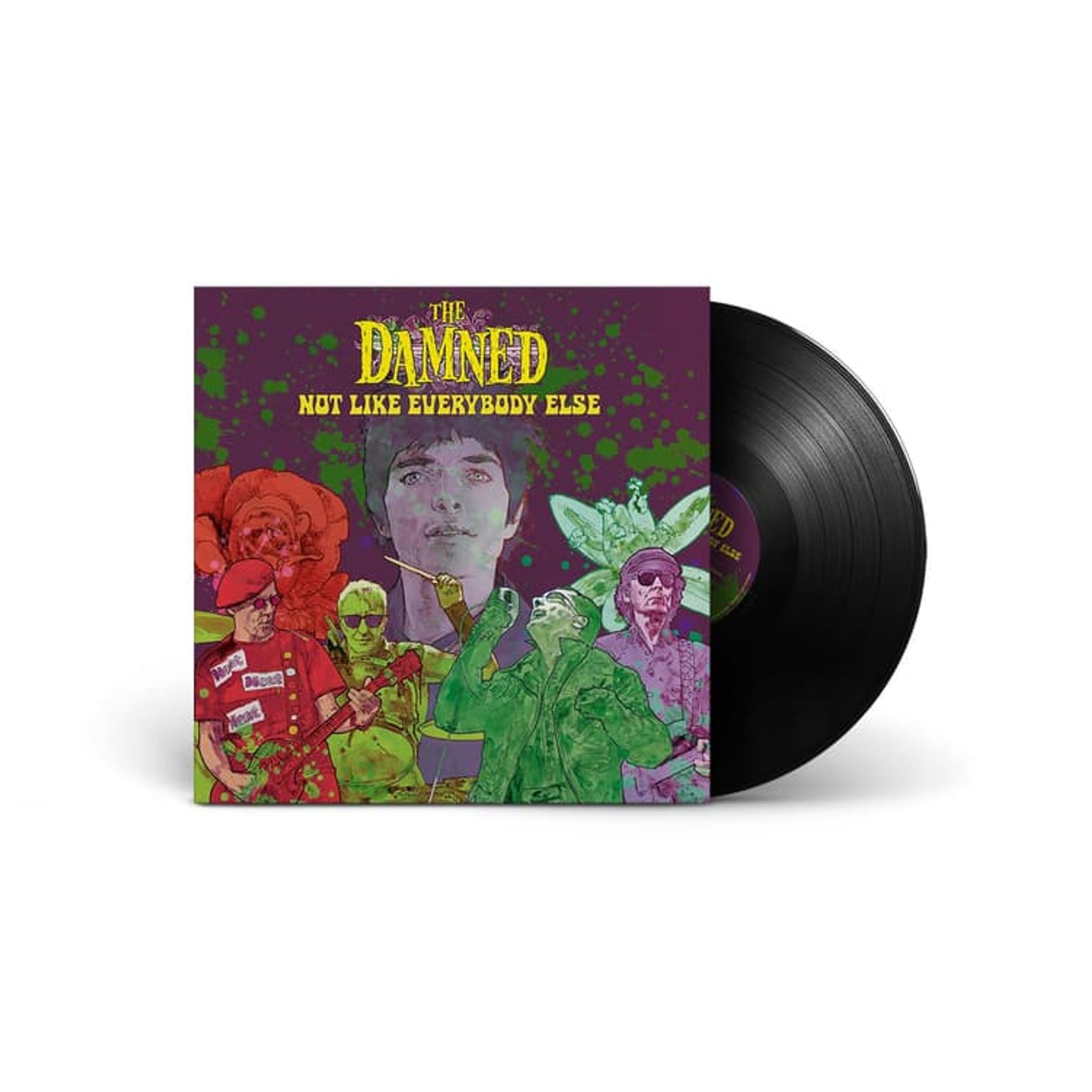 The Damned Rare Vinyl Records, LPs, vinyl albums, 7