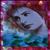 Enya Artiste Legend DVD JAPAN ENYDDAR408687