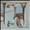 Genesis Trespass - 1st (A) + Insert Vinyl LP Record xx UNITED KINGDOM GENLPTR135015 Genesis Trespass - 1st (A) + Insert Vinyl LP Record xx UNITED KINGDOM GENLPTR135015