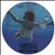 Nirvana&nbsp;(US) Nevermind LP Picture Disc CZECH REPUBLIC NIRPDNE28435
