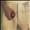 Wishbone Ash There's The Rub Vinyl LP Record xx UNITED KINGDOM WSHLPTH329358 Wishbone Ash There's The Rub Vinyl LP Record xx UNITED KINGDOM WSHLPTH329358